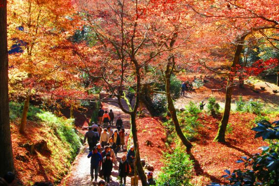 【滋賀観光】紅葉を楽しむ琵琶湖一周ドライブコース