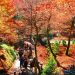 【滋賀観光】紅葉を楽しむ琵琶湖一周ドライブコース